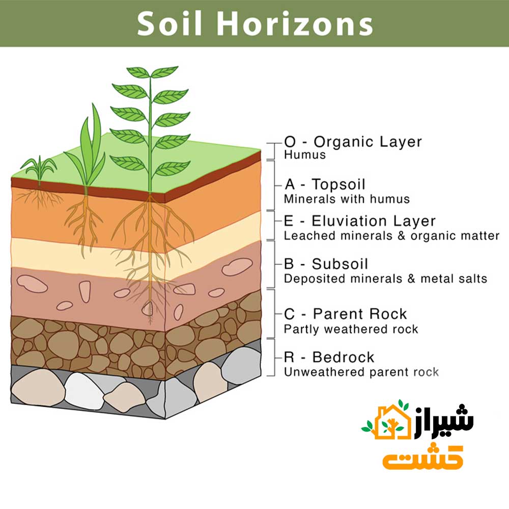 طبقه بندی خاک 26 Soil Horizons Layers