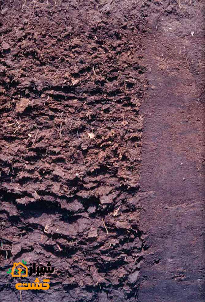 طبقه بندی خاک 12 histosols