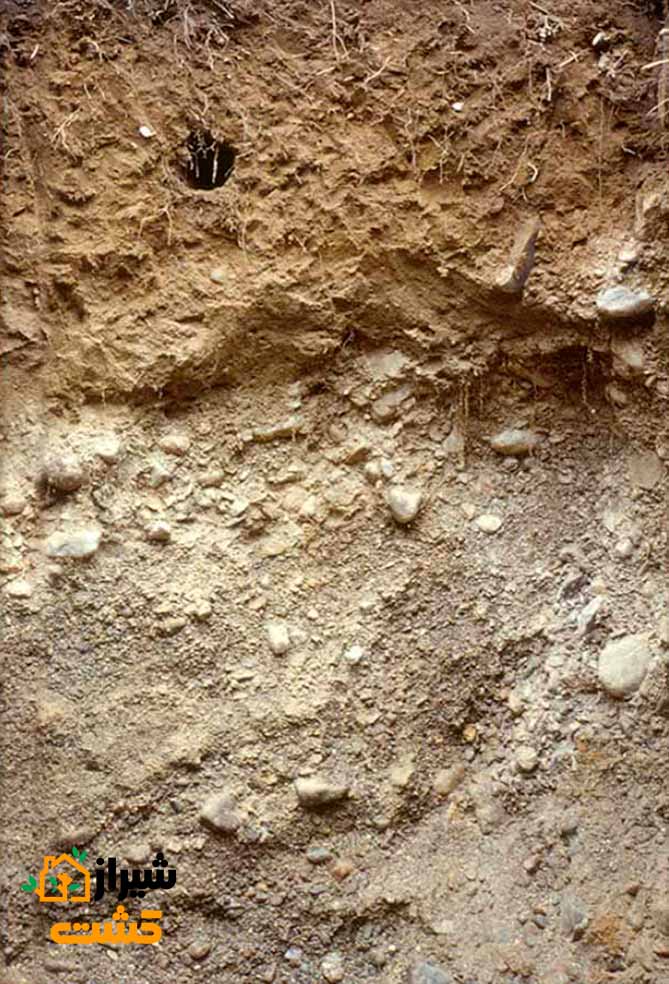 طبقه بندی خاک 14 inceptisols 2