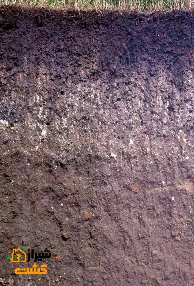 طبقه بندی خاک 16 mollisols