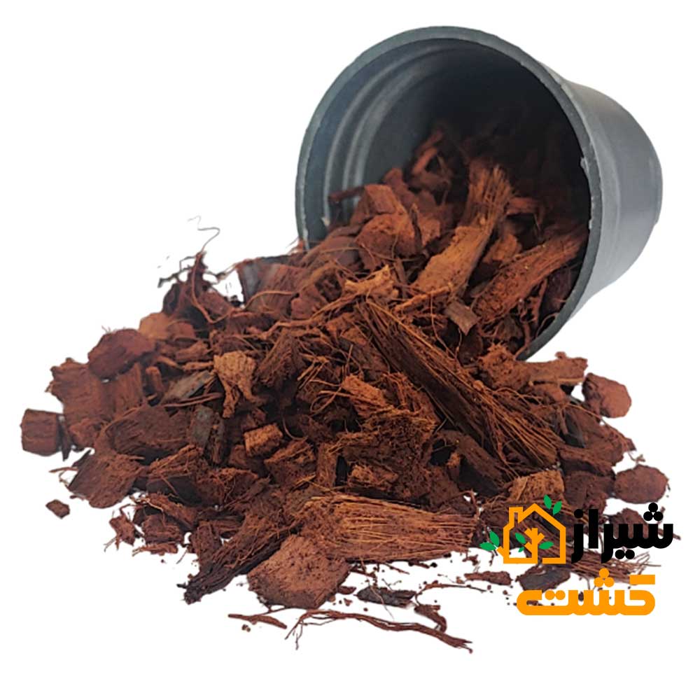 قیمت و خرید کوکوچیپس